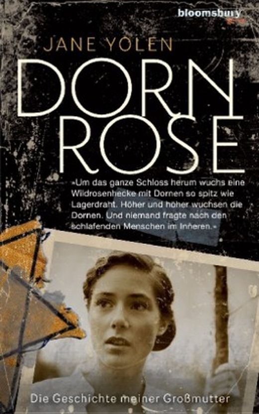 Zusammenfassung des Buches Dornrose
