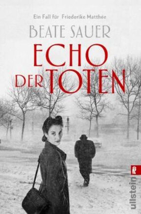 Zusammenfassung des Buches Echo der Toten. Ein Fall für Friederike Matthée