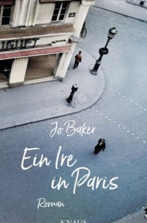 Zusammenfassung des Buches Ein Ire in Paris