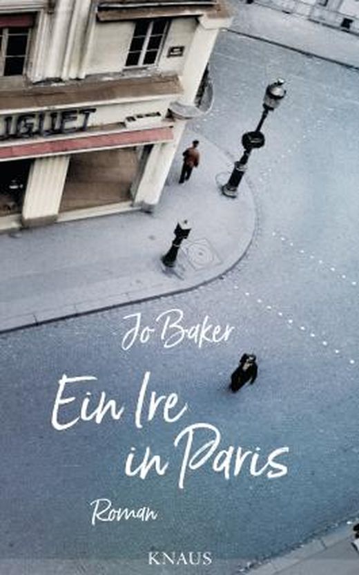 Zusammenfassung des Buches Ein Ire in Paris