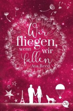 Zusammenfassung des Buches Wir fliegen, wenn wir fallen