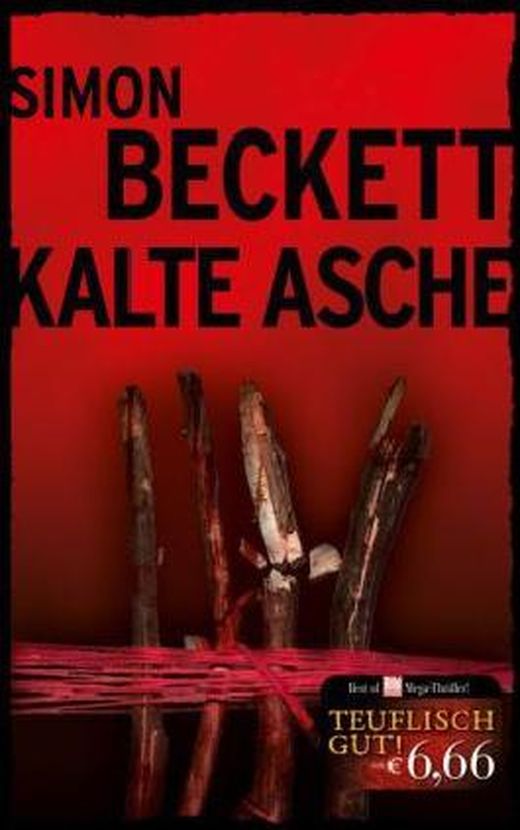 Zusammenfassung des Buches Kalte Asche